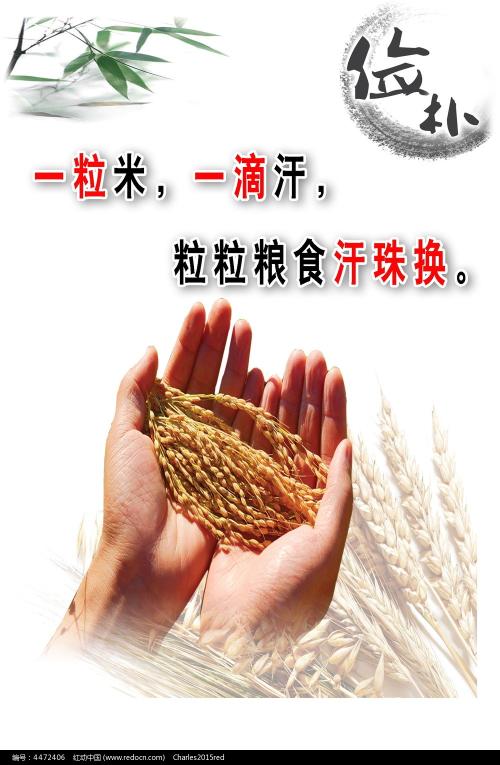 哪里可以制作日本千葉工業大學文凭